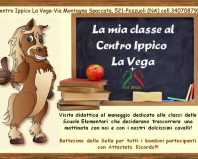 scuole  copia