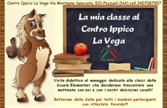 scuole  copia